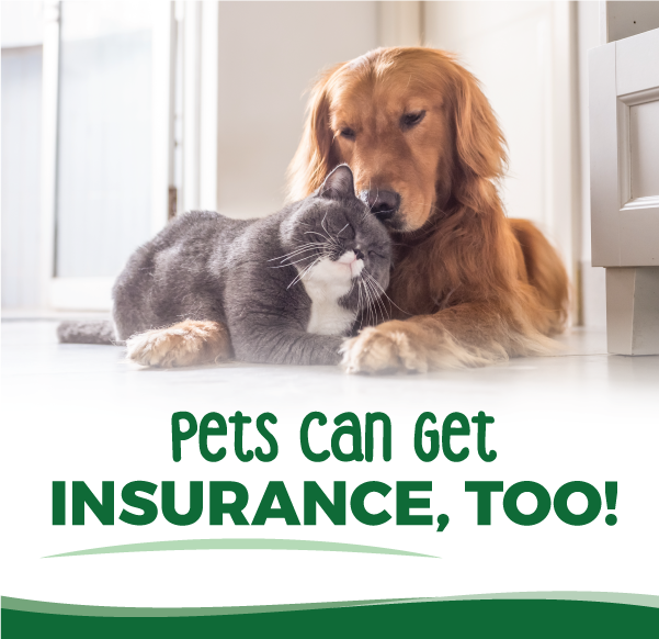 Pet Insurance: Because Your Fur Baby Deserves the Best